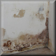 Prevención de humedad ascendente