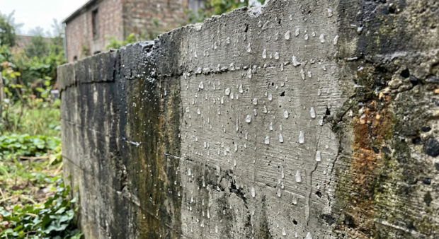 Funcosil C40 (12,5 litros)